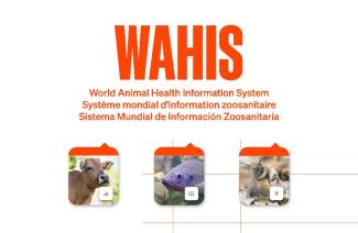 WAHIS logo
